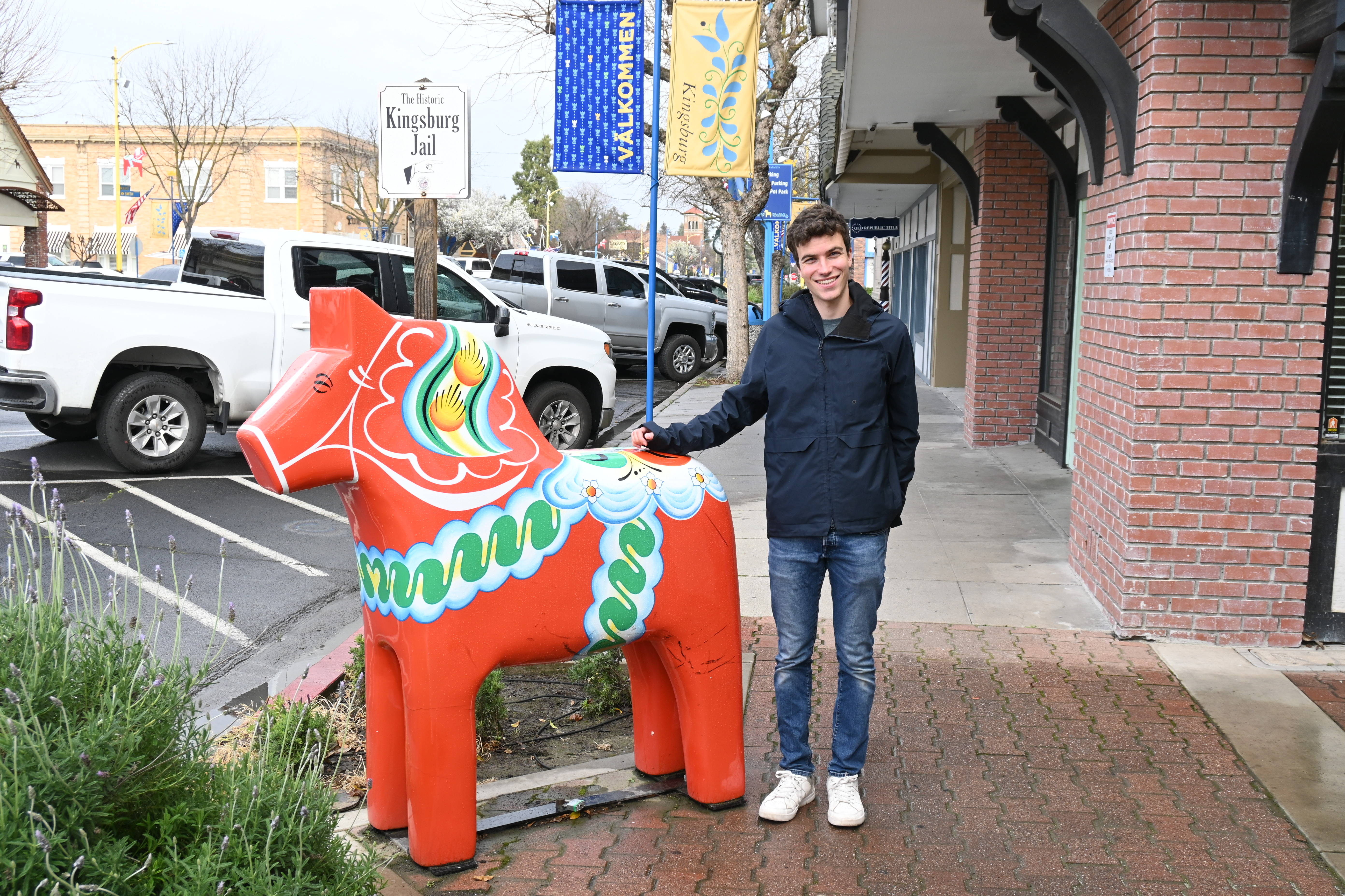A Dalarna horse spotted in California